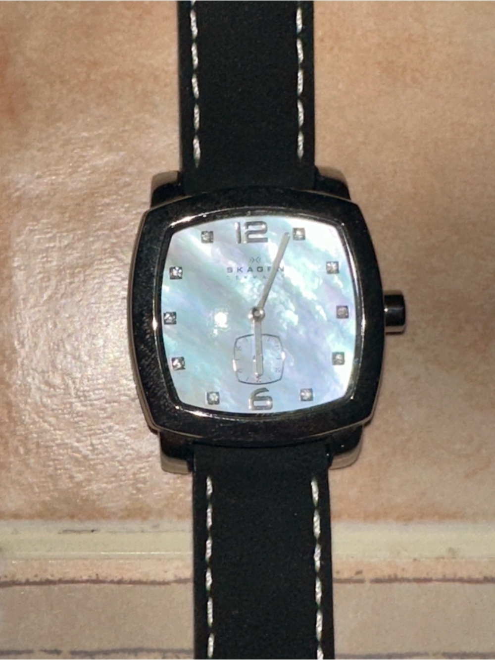 Skagen Stainless Steel and Leather Watch